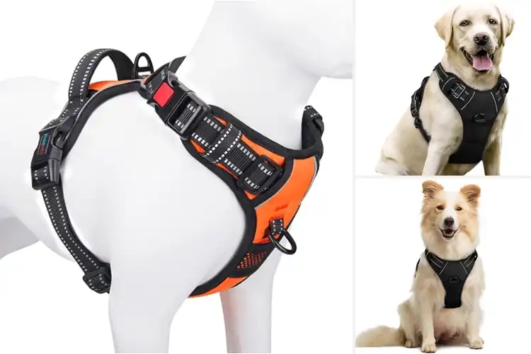 Detailed view of Best Adjustable Dog Harnesses