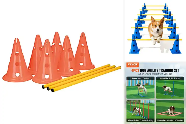 Detailed view of Best Animal Agility Equipment