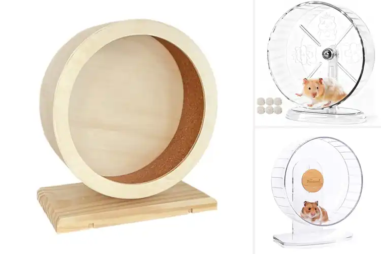Detailed view of Best Bite Resistant Hamster Wheels: 10 Quiet, Durable Picks