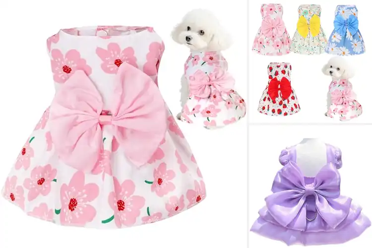 Detailed view of Best Cat Dresses