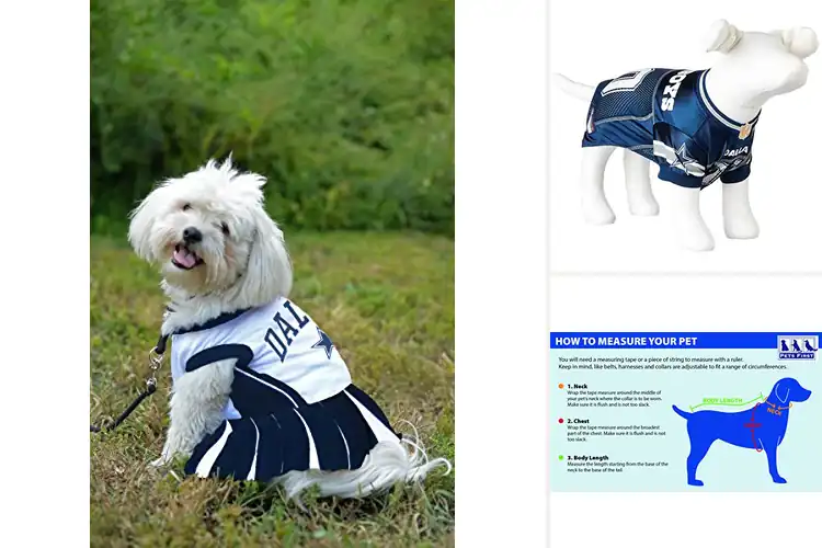 Detailed view of Best Dallas Cowboys Pet Outfits