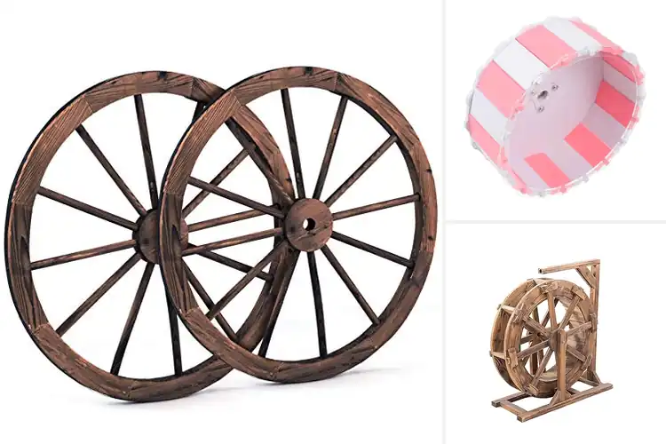 Detailed view of Best Decorative Habitat Wheel