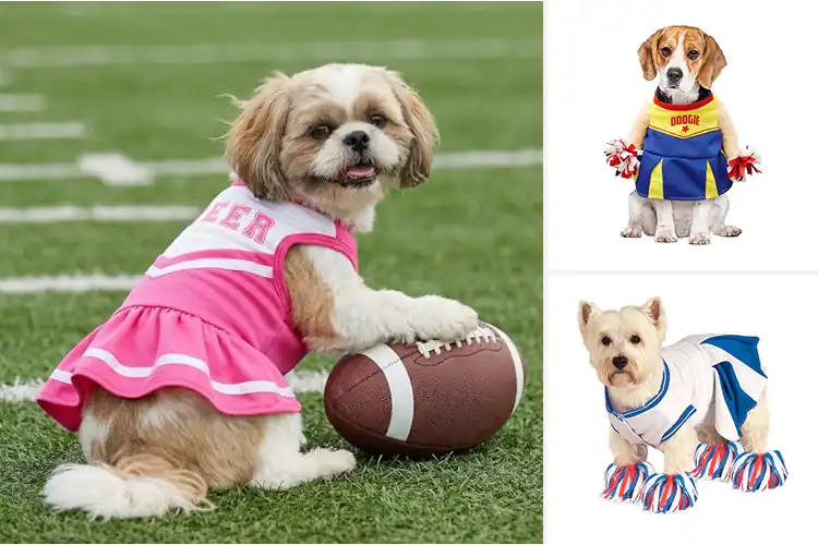 Detailed view of Best Dog Cheerleader Costumes