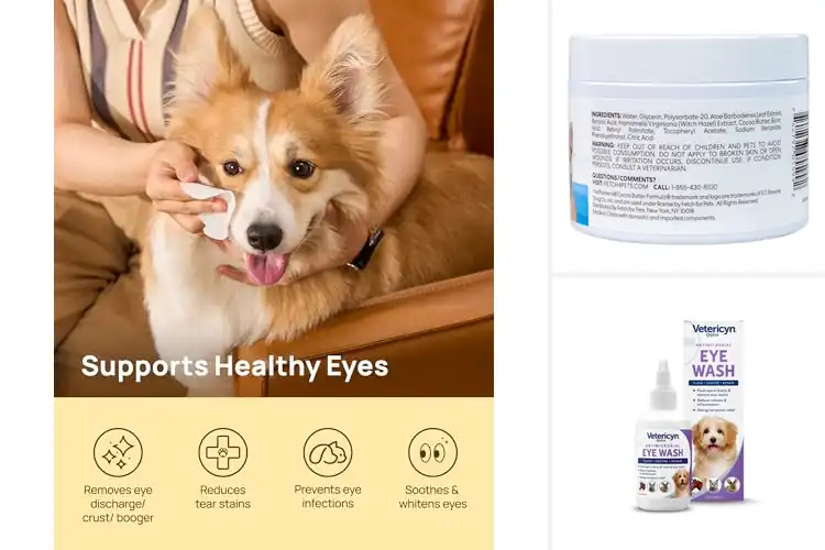 Detailed view of Best Dog Eye Cleaners: Top Picks for Clear, Healthy Eyes