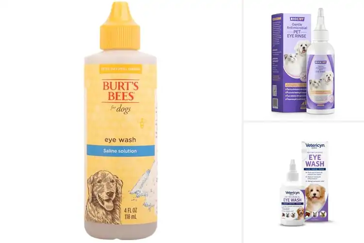 Detailed view of Best Dog Eye Solutions: Soothe, Clean & Protect