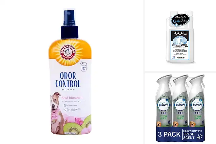 Detailed view of Best Dog Odor Eliminators: Top 10 Picks for a Fresh Home