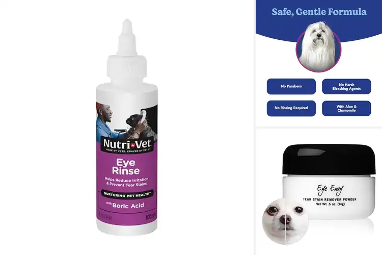 Detailed view of Best Dog Tear Stain Solutions