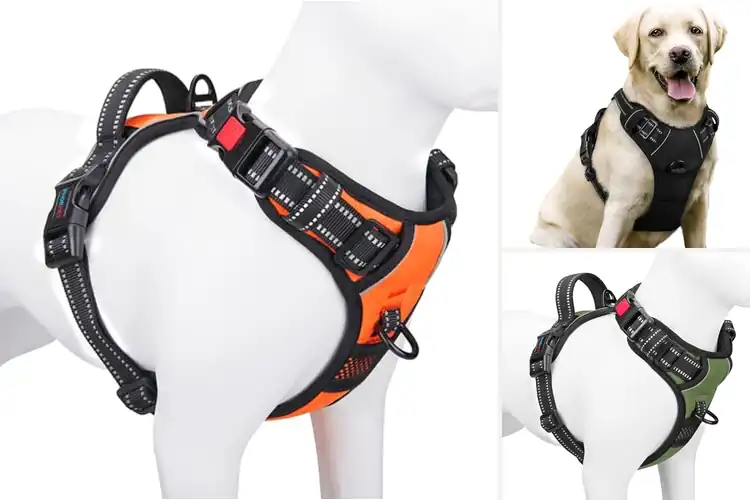 Detailed view of Best Dual-Clip Dog Harnesses