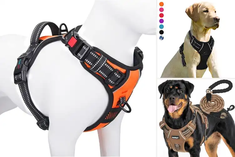 Detailed view of Best Durable Dog Harnesses