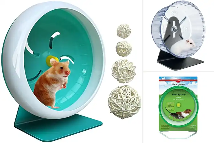 Detailed view of Best Easy Install Hamster Wheel