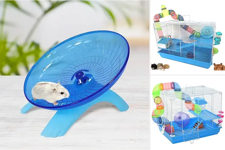 Detailed view of Best Exercise For Small Rodents