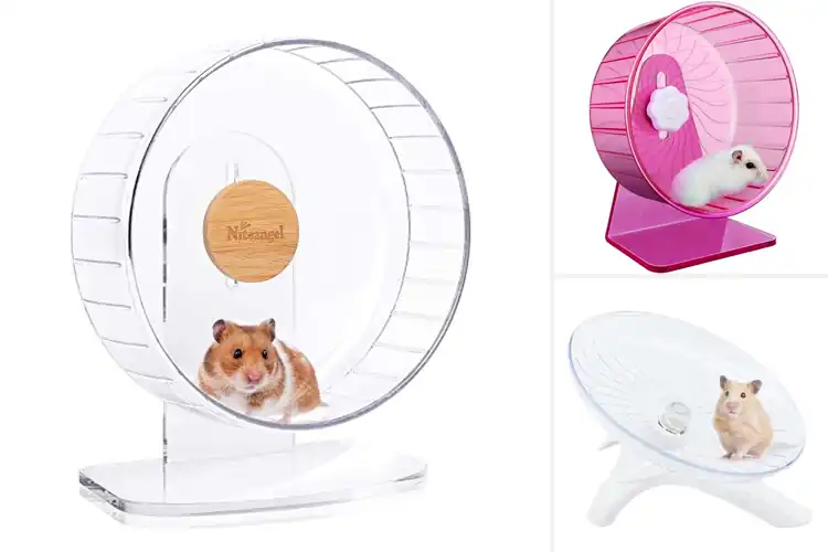 Detailed view of Best Exercise Hamster Wheels
