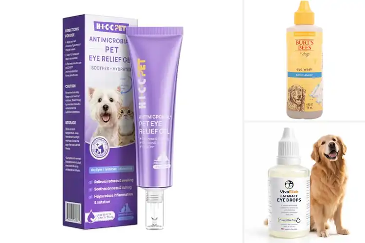 Detailed view of Best Eye Care Solutions For Pets