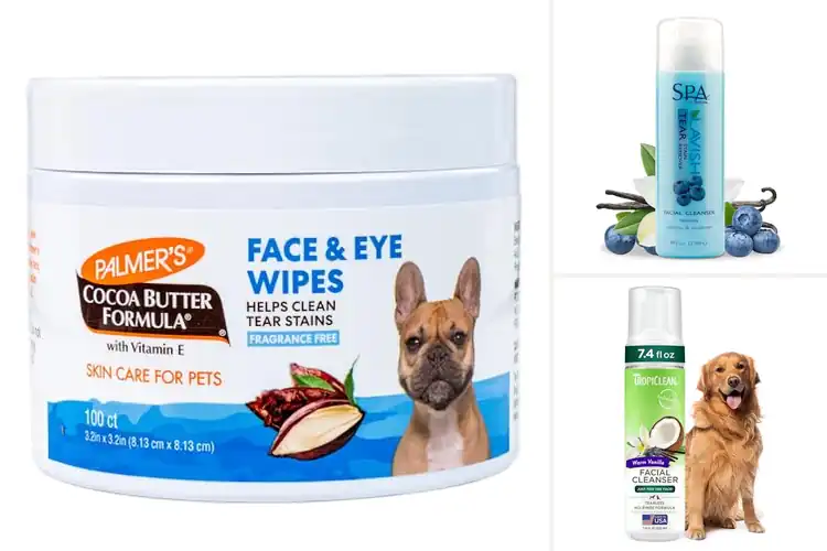 Detailed view of Best Facial Hygiene Products For Dogs