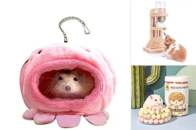 Detailed view of Best Fit For Hamsters And Small Rodents