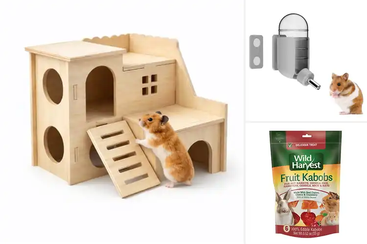 Detailed view of Best For Hamster Gerbil Mice