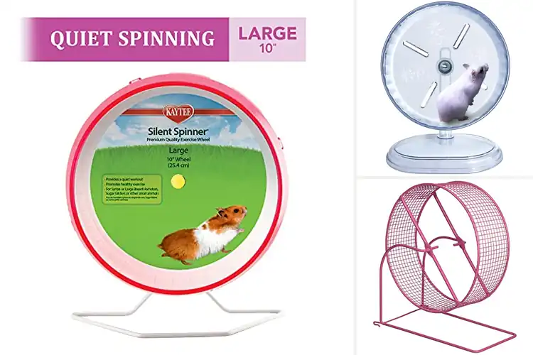 Detailed view of Best Gerbil Wheels: Silent & Safe Picks for Happy Pets