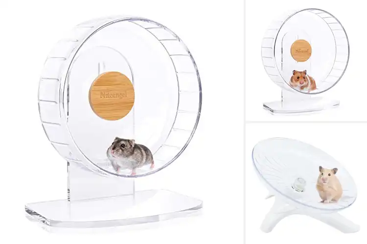 Detailed view of Best Gerbils Wheels