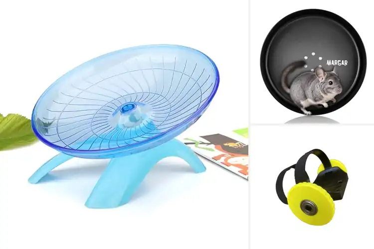 Detailed view of Best Guinea Pig Wheels