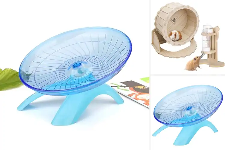 Detailed view of Best Guinea Pigs Wheels: Top 10 Picks for Happy, Active Pets