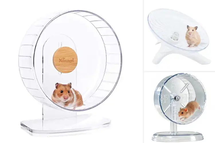 Detailed view of Best Hamster And Gerbil Compatible Wheel