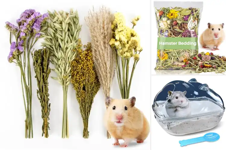 Detailed view of Best Hamster Cage Decorations