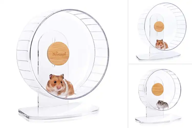 Detailed view of Best Hamster Drum Wheels
