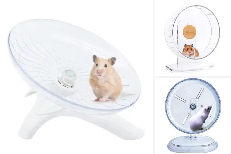 Detailed view of Best Hamster Exercise Wheel For Hamsters