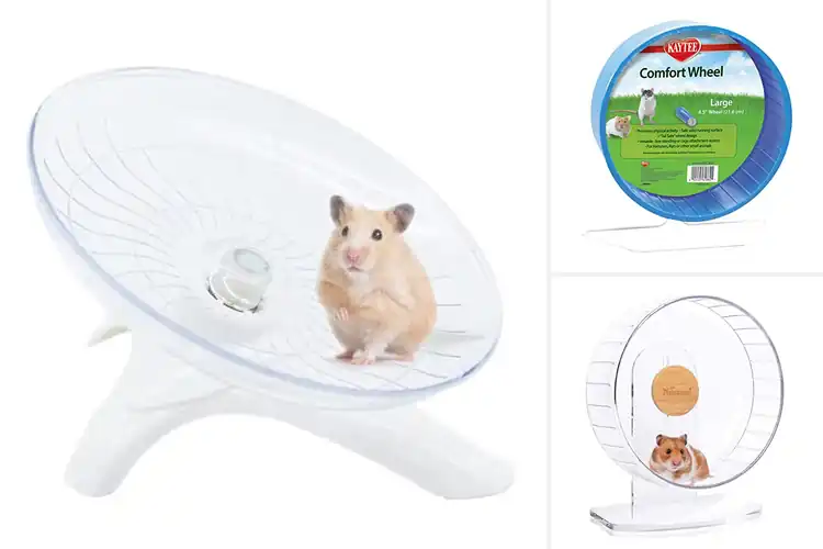 Detailed view of Best Hamster Exercise Wheel For Small Pets