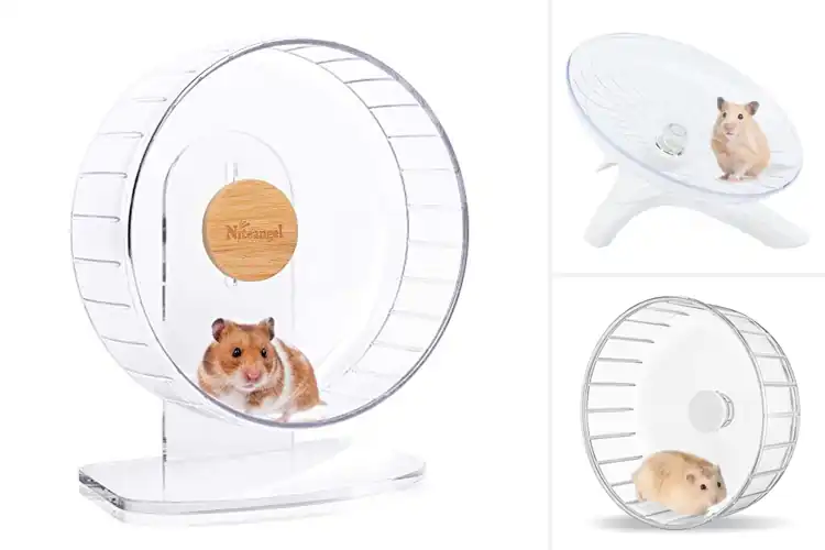Detailed view of Best Hamster Exercise Wheel: Top 10 Silent & Durable Picks