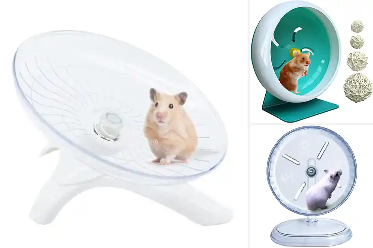 Detailed view of Best Hamster Gerbil Mouse Wheel: Top 10 Quiet & Safe Picks