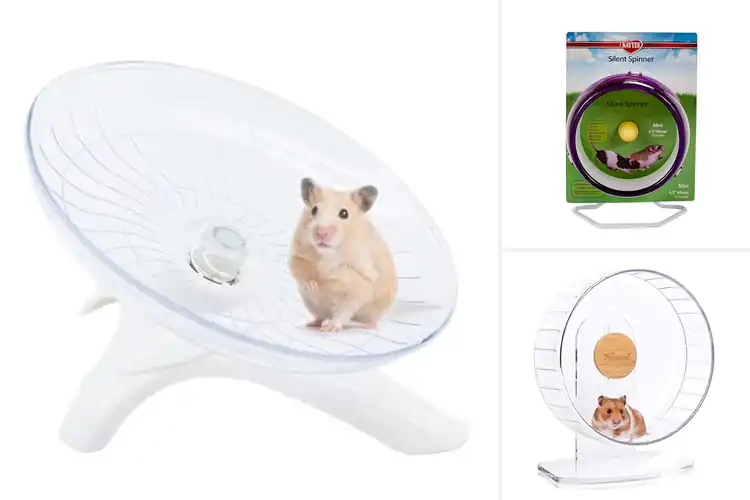 Detailed view of Best Hamster Wheels For Dwarf Hamsters