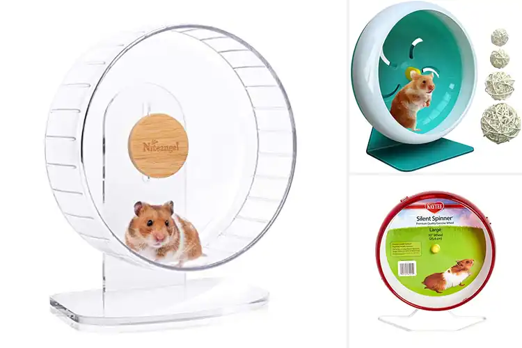 Detailed view of Best Hamster Wheels For Gerbils: Top 10 Quiet & Safe Picks