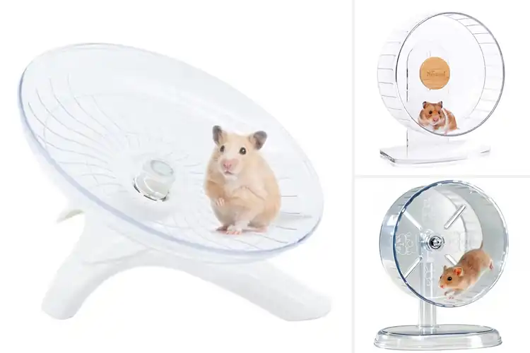 Detailed view of Best Hamster Wheels for Small Rodents