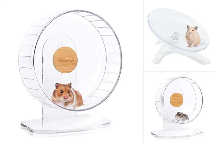 Detailed view of Best Hamsters Wheels