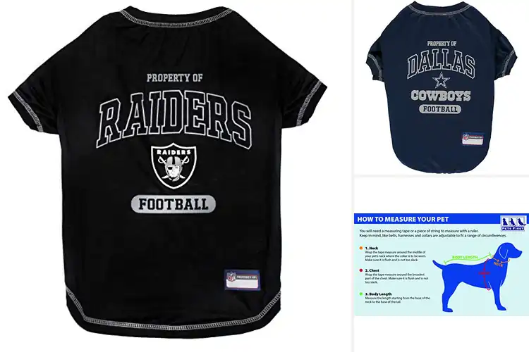 Detailed view of Best Licensed NFL Pet Clothes: Dress Your Pet in Team Spirit