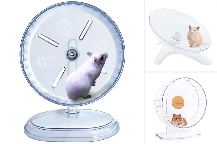 Detailed view of Best Mice Wheels: Top 10 Quiet & Safe Picks for Happy Pets