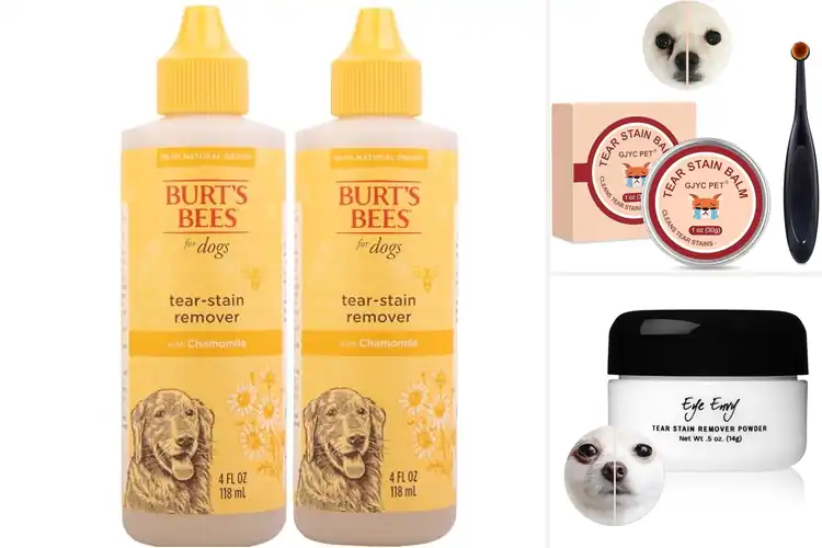 Detailed view of Best Natural Dog Tear Stain Removers
