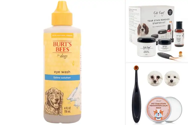 Detailed view of Best Natural Tear Stain Solutions