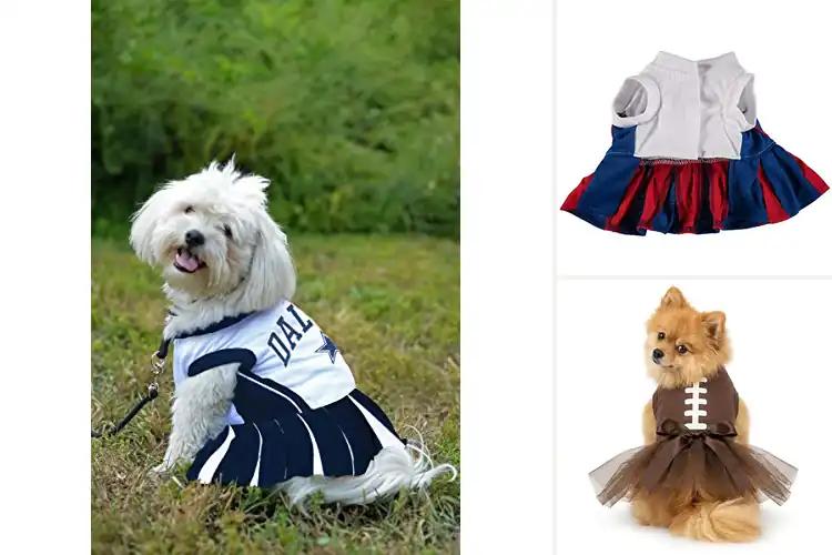 Detailed view of Best NFL Dog Dresses