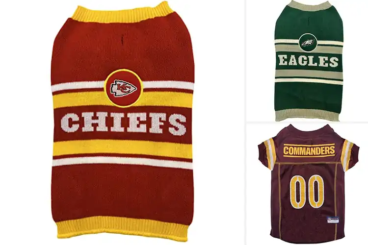 Detailed view of Best NFL Gifts For Dog Owners: 10 Game-Day Pet Outfits