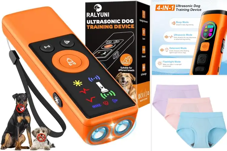 Detailed view of Best Nighttime Training Tools
