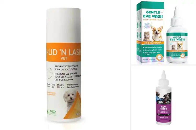 Detailed view of Best Non Antibiotic Tear Stain Solution
