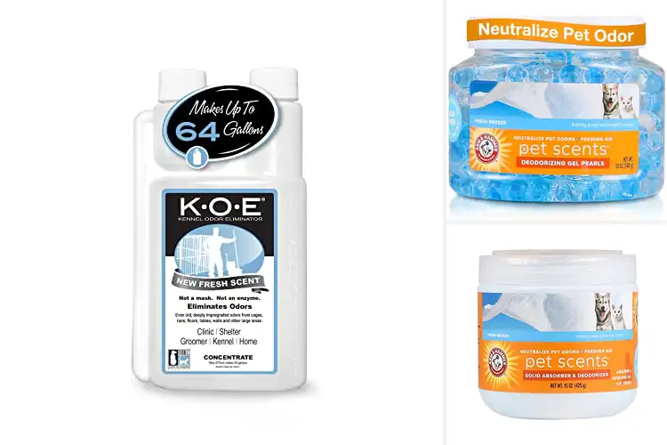 Detailed view of Best Odor Eliminators For Dogs: Freshen Your Home Instantly