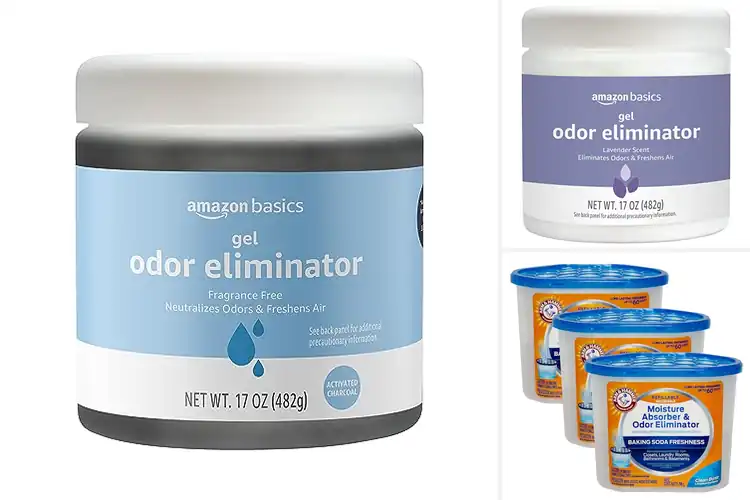 Detailed view of Best Odor Eliminators
