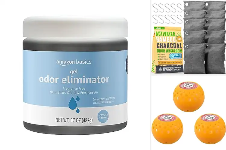 Detailed view of Best Odor Removers : Fresh Space, Confident You