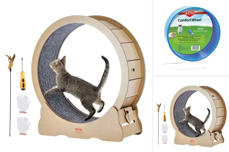 Detailed view of Best Pet Exercise Wheels: Top Picks for Active, Healthy Pets