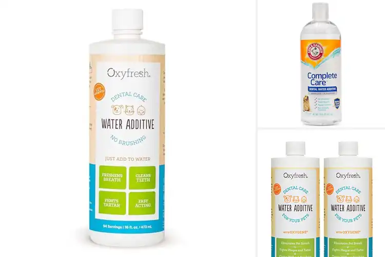 Detailed view of Best Pet Hygiene Solutions: 10 Easy Tools for Healthy Pets