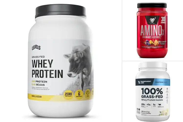 Detailed view of Best Protein Powder For Increasing Amino Acid Levels