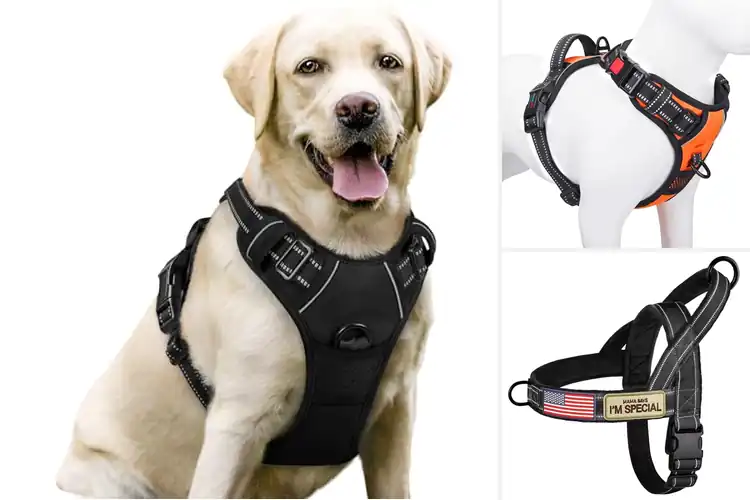 Detailed view of Best Quick-Release Dog Harnesses